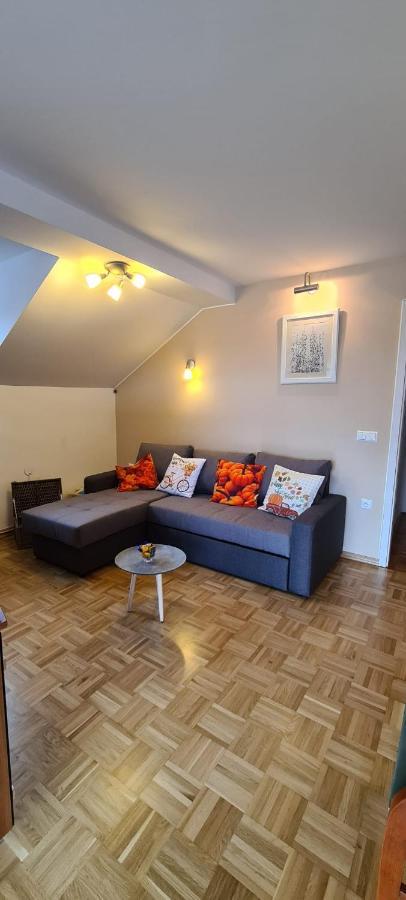 Apartment Kranj - Huge Terrace, Free P, Wi - Fi, Ac Екстер'єр фото