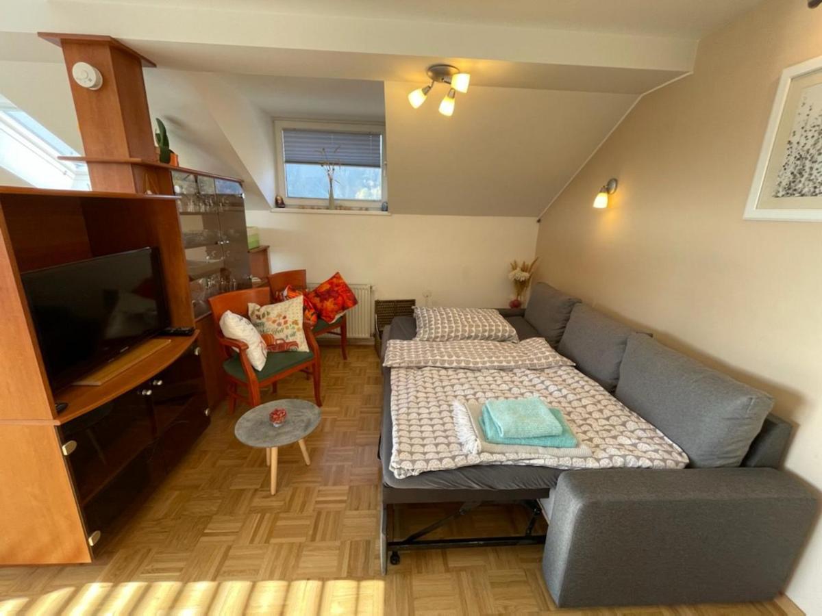 Apartment Kranj - Huge Terrace, Free P, Wi - Fi, Ac Екстер'єр фото