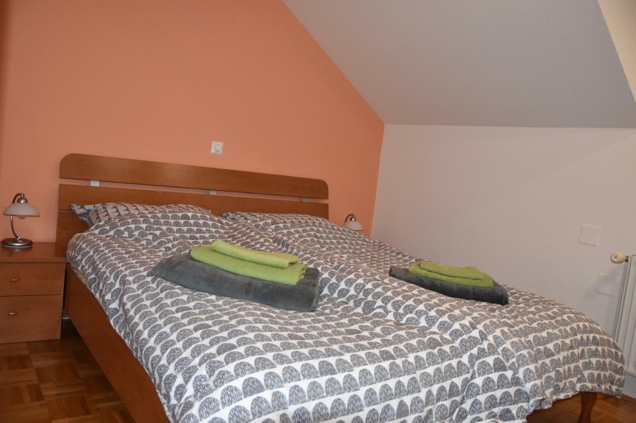 Apartment Kranj - Huge Terrace, Free P, Wi - Fi, Ac Екстер'єр фото